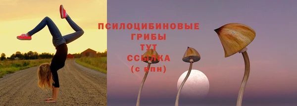стаф Беломорск