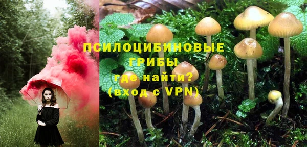 прущая мука Белоозёрский