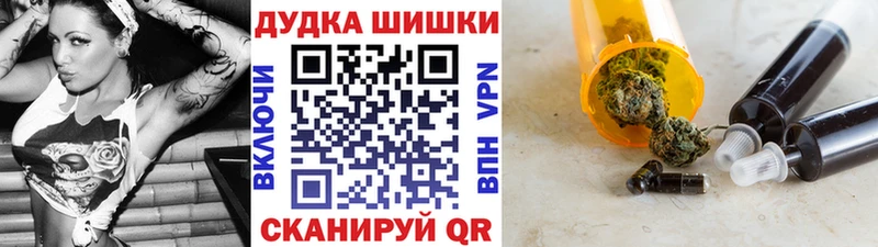 Бошки Шишки планчик  Ворсма 